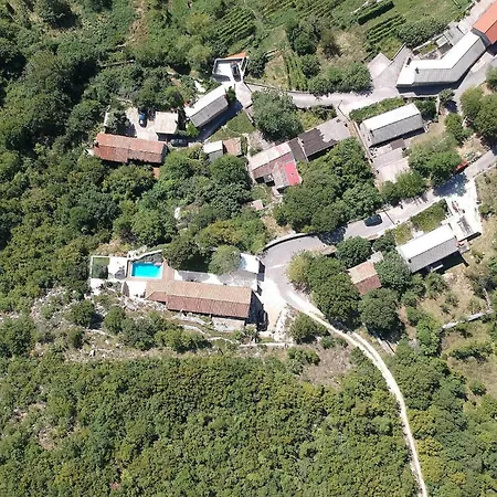 Mare Monti * Drivenik