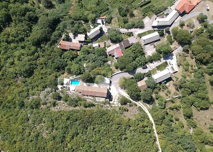 Mare Monti * Drivenik